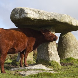 Lanyon Quoit and Cow